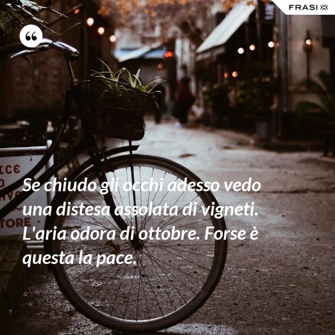 Se chiudo gli occhi adesso vedo una distesa assolata di vigneti. L'aria odora di ottobre. Forse è questa la pace. - Anonimo