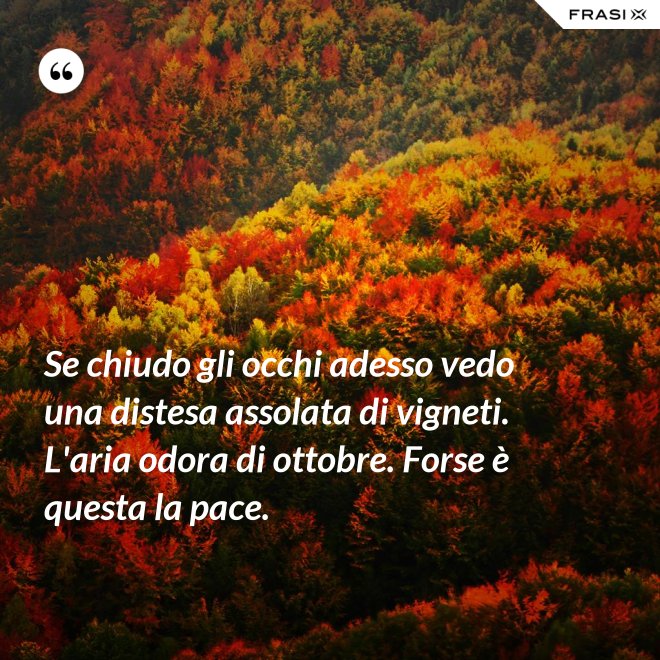 Se chiudo gli occhi adesso vedo una distesa assolata di vigneti. L'aria odora di ottobre. Forse è questa la pace. - Anonimo