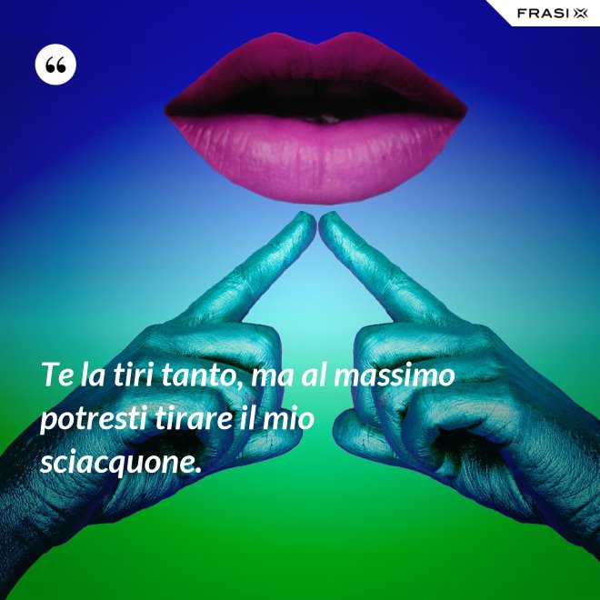 Te la tiri tanto, ma al massimo potresti tirare il mio sciacquone. - Anonimo
