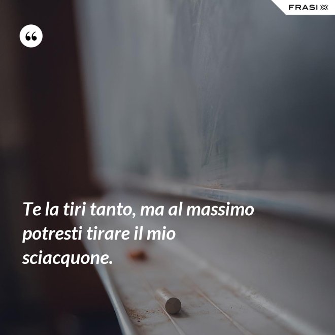 Te la tiri tanto, ma al massimo potresti tirare il mio sciacquone. - Anonimo