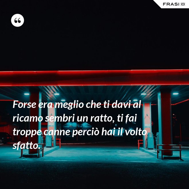 Forse era meglio che ti davi al ricamo sembri un ratto, ti fai troppe canne perciò hai il volto sfatto. - Anonimo