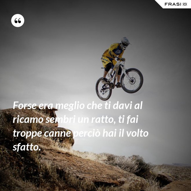 Forse era meglio che ti davi al ricamo sembri un ratto, ti fai troppe canne perciò hai il volto sfatto. - Anonimo