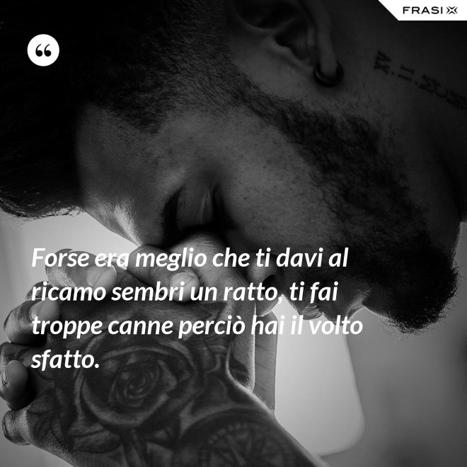 Forse era meglio che ti davi al ricamo sembri un ratto, ti fai troppe canne perciò hai il volto sfatto. - Anonimo