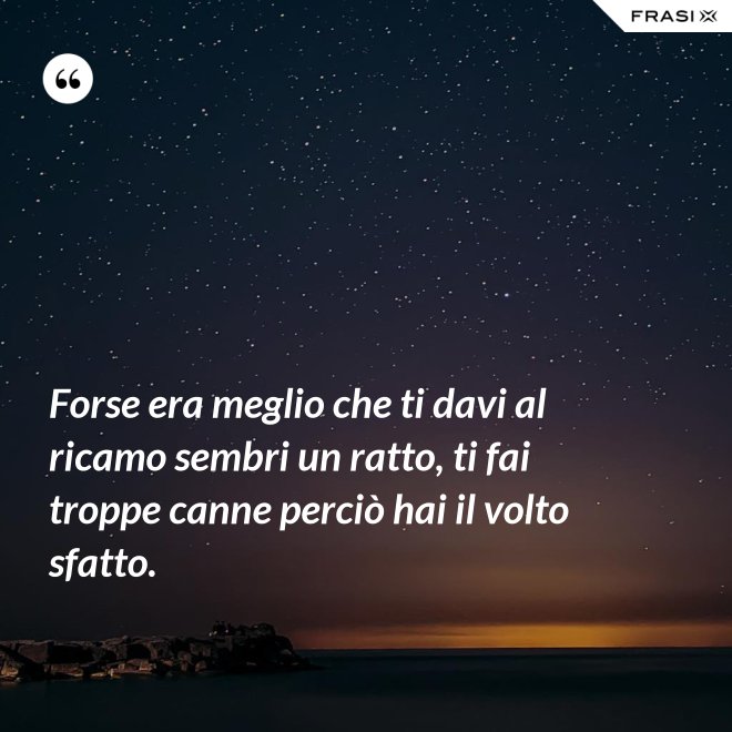 Forse era meglio che ti davi al ricamo sembri un ratto, ti fai troppe canne perciò hai il volto sfatto. - Anonimo