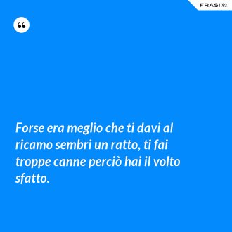 Forse era meglio che ti davi al ricamo sembri un ratto, ti fai troppe canne perciò hai il volto sfatto. - Anonimo