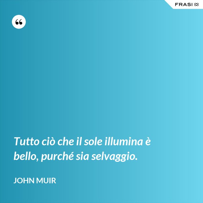 Tutto ciò che il sole illumina è bello, purché sia selvaggio. - John Muir