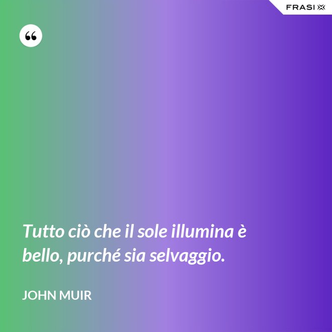 Tutto ciò che il sole illumina è bello, purché sia selvaggio. - John Muir
