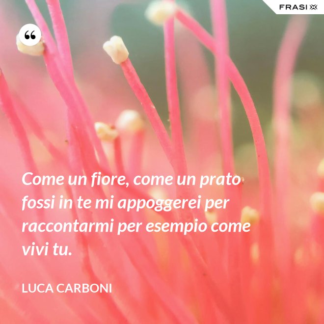 Come un fiore, come un prato fossi in te mi appoggerei per raccontarmi per esempio come vivi tu. - Luca Carboni
