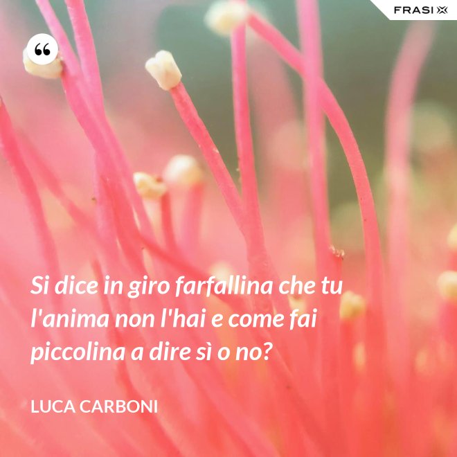 Si dice in giro farfallina che tu l'anima non l'hai e come fai piccolina a dire sì o no? - Luca Carboni