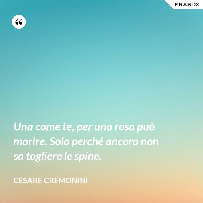 Una come te, per una rosa può morire. Solo perché ancora non sa togliere le spine. - Cesare Cremonini