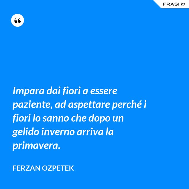 Impara dai fiori a essere paziente, ad aspettare perché i fiori lo sanno che dopo un gelido inverno arriva la primavera. - Ferzan Ozpetek