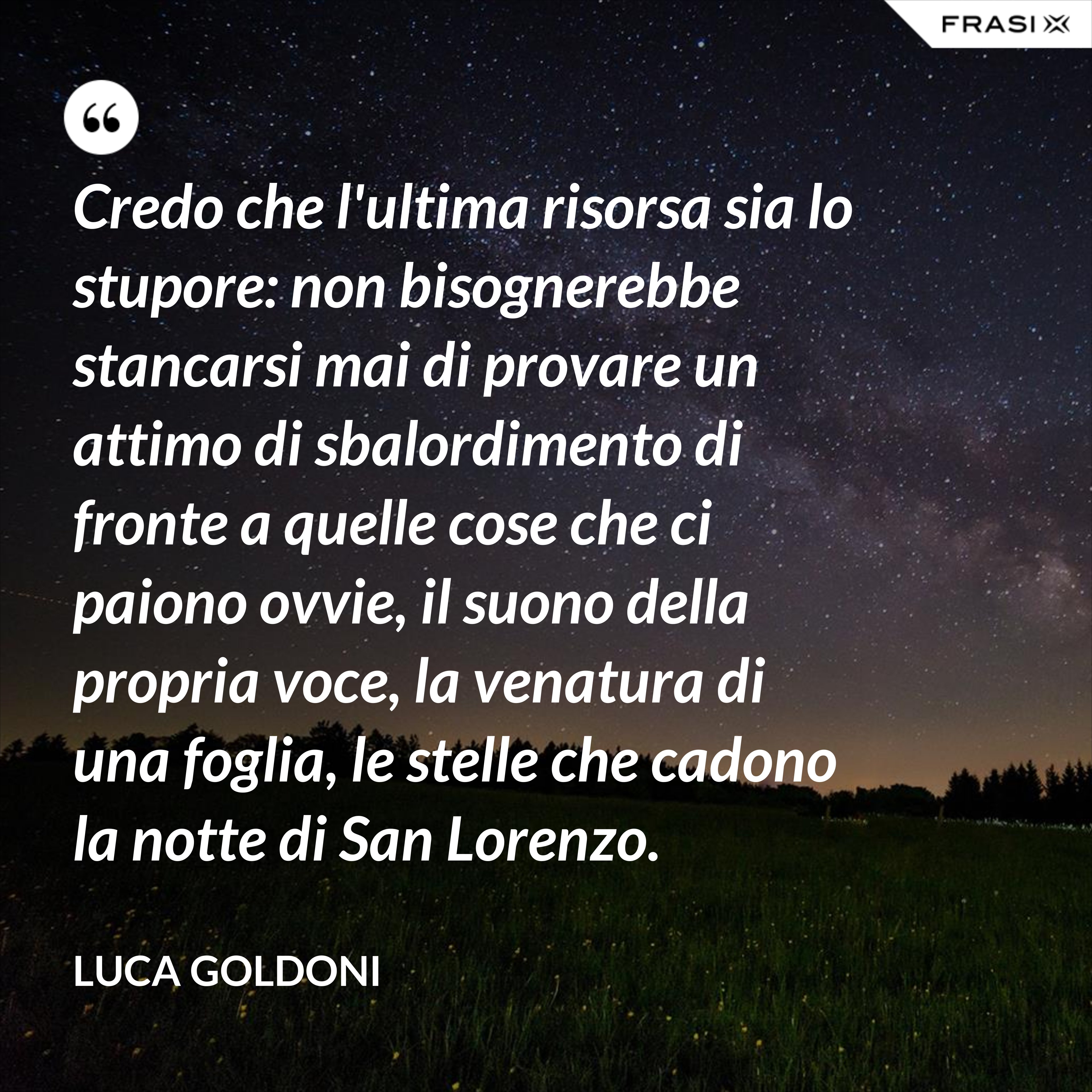 Credo che l'ultima risorsa sia lo stupore: non bisognerebbe stancarsi mai di provare un attimo di sbalordimento di fronte a quelle cose che ci paiono ovvie, il suono della propria voce, la venatura di una foglia, le stelle che cadono la notte di San Lorenzo. - Luca Goldoni