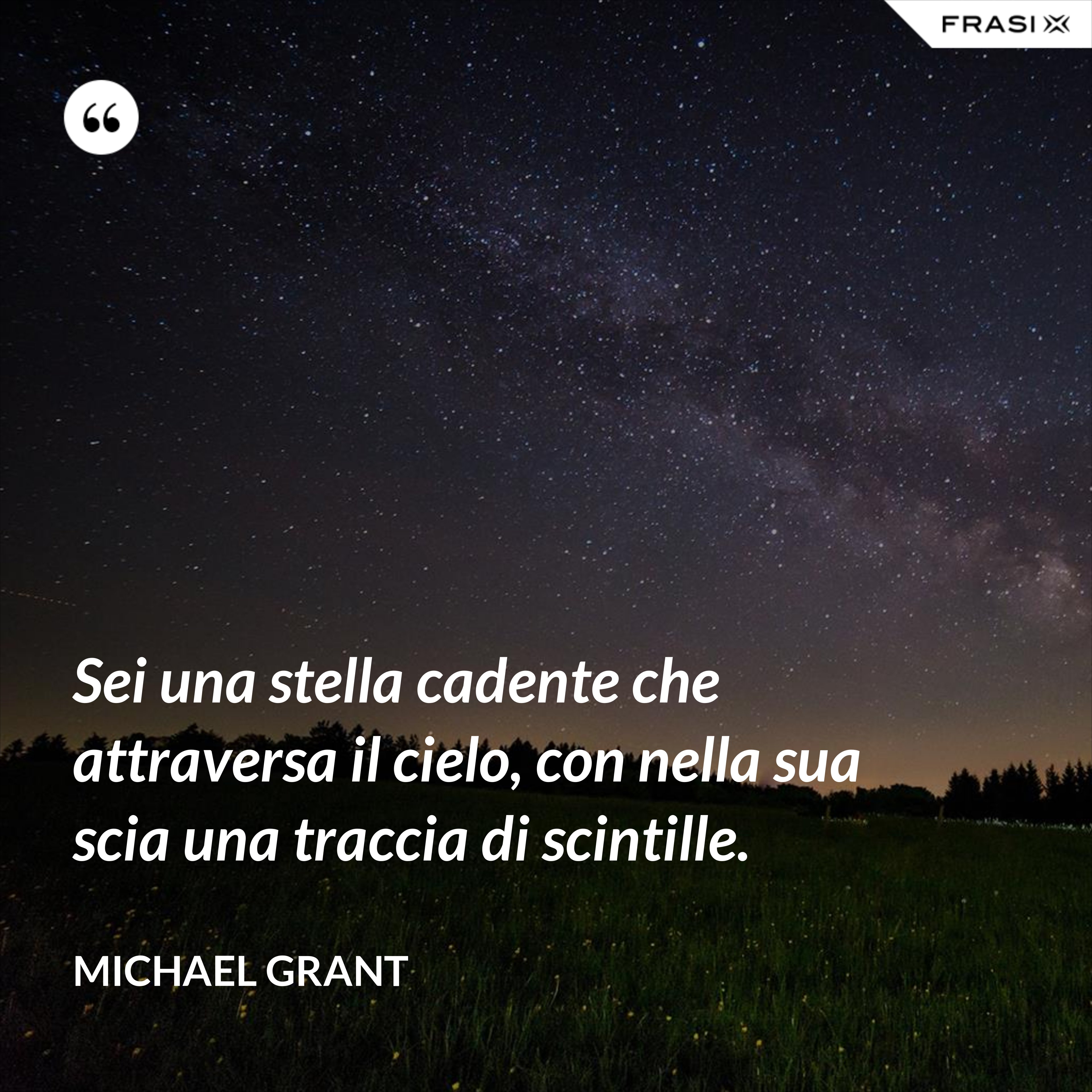 Sei una stella cadente che attraversa il cielo, con nella sua scia una traccia di scintille. - Michael Grant