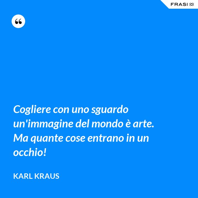 Cogliere con uno sguardo un'immagine del mondo è arte. Ma quante cose entrano in un occhio! - Karl Kraus