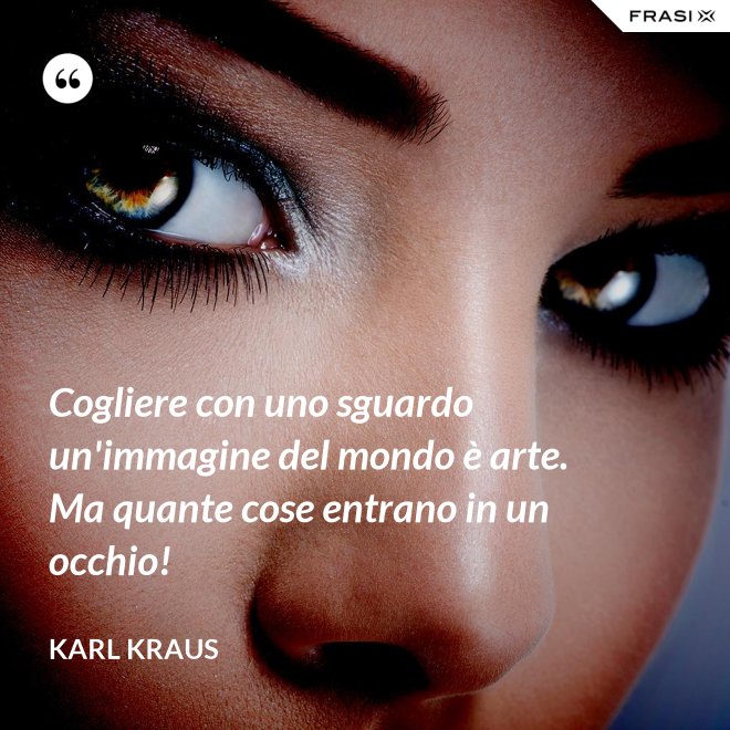 Cogliere con uno sguardo un'immagine del mondo è arte. Ma quante cose entrano in un occhio! - Karl Kraus