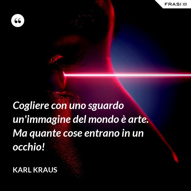 Cogliere con uno sguardo un'immagine del mondo è arte. Ma quante cose entrano in un occhio! - Karl Kraus