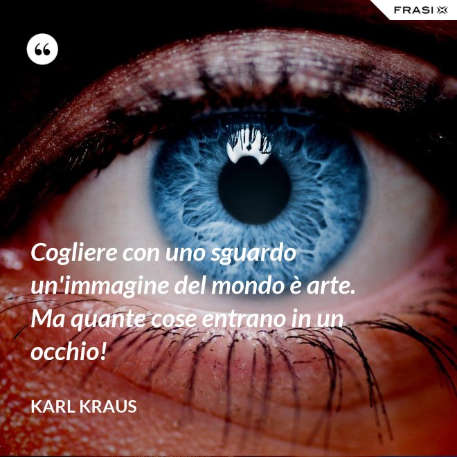 Cogliere con uno sguardo un'immagine del mondo è arte. Ma quante cose entrano in un occhio! - Karl Kraus