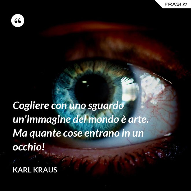 Cogliere con uno sguardo un'immagine del mondo è arte. Ma quante cose entrano in un occhio! - Karl Kraus