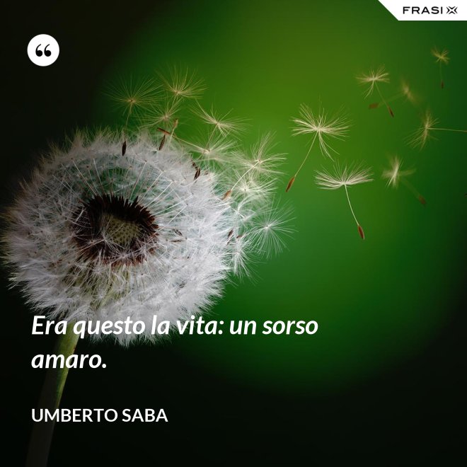 Era questo la vita: un sorso amaro. - Umberto Saba