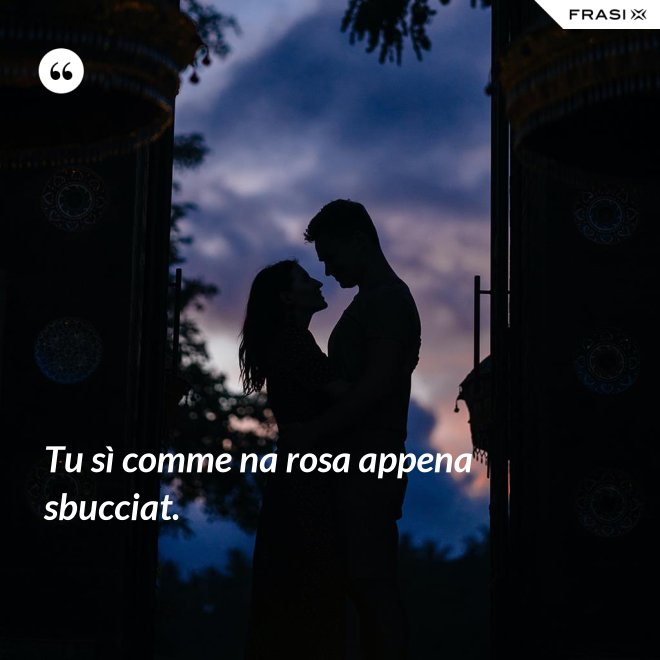 Tu sì comme na rosa appena sbucciat. - Anonimo