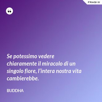Se potessimo vedere chiaramente il miracolo di un singolo fiore, l’intera nostra vita cambierebbe. - Buddha