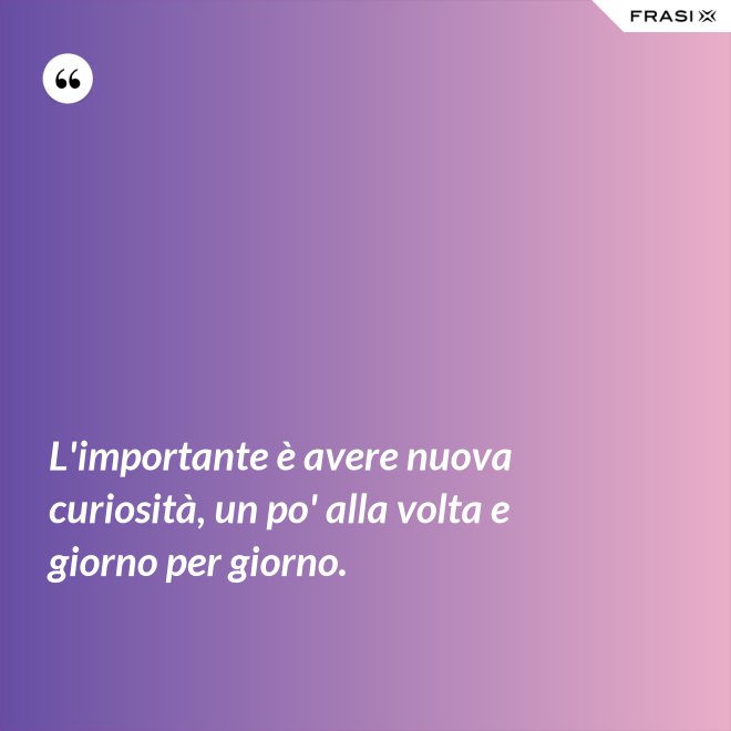 L'importante è avere nuova curiosità, un po' alla volta e giorno per giorno. - Anonimo
