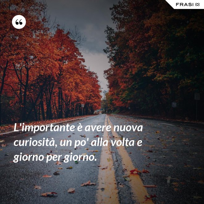 L'importante è avere nuova curiosità, un po' alla volta e giorno per giorno. - Anonimo