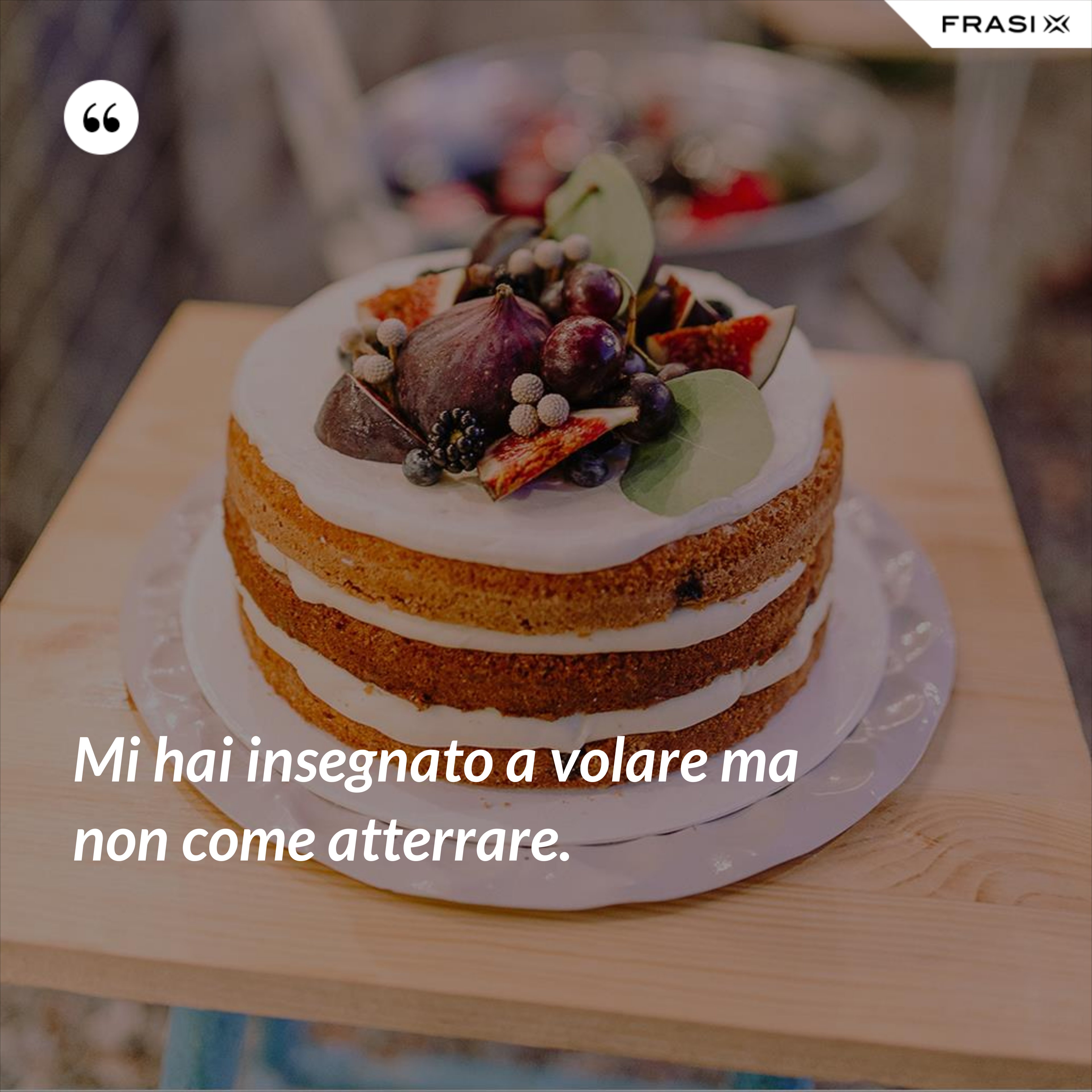 Mi hai insegnato a volare ma non come atterrare. - Anonimo