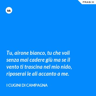Tu, airone bianco, tu che voli senza mai cadere giù ma se il vento ti trascina nel mio nido, riposerai le ali accanto a me. - I Cugini di Campagna