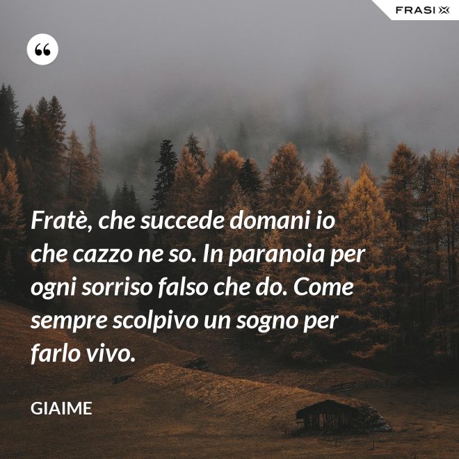 Fratè, che succede domani io che cazzo ne so. In paranoia per ogni sorriso falso che do. Come sempre scolpivo un sogno per farlo vivo. - Giaime