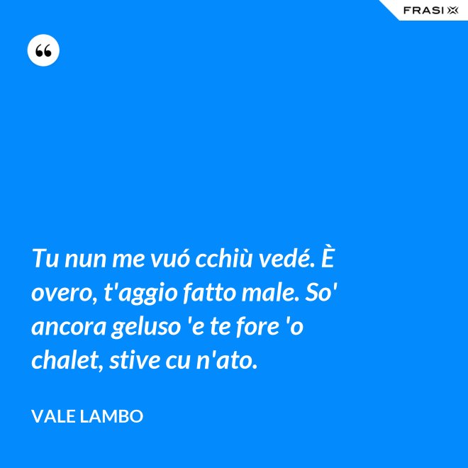 Tu nun me vuó cchiù vedé. È overo, t'aggio fatto male. So' ancora geluso 'e te fore 'o chalet, stive cu n'ato. - Vale Lambo