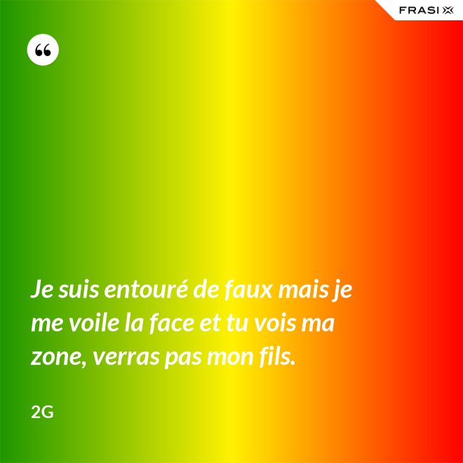 Je suis entouré de faux mais je me voile la face et tu vois ma zone, verras pas mon fils. - 2G