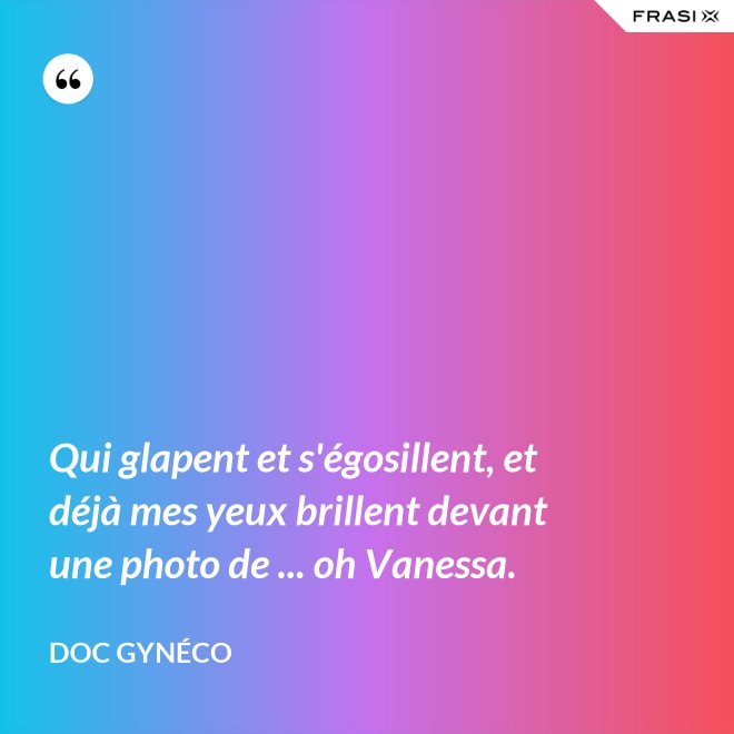 Qui glapent et s'égosillent, et déjà mes yeux brillent devant une photo de ... oh Vanessa. - Doc Gynéco