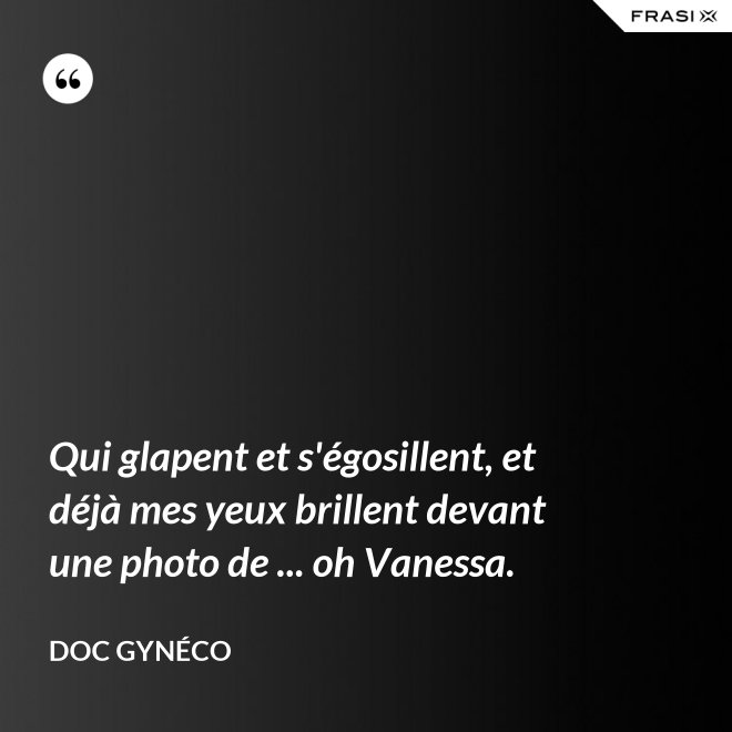 Qui glapent et s'égosillent, et déjà mes yeux brillent devant une photo de ... oh Vanessa. - Doc Gynéco