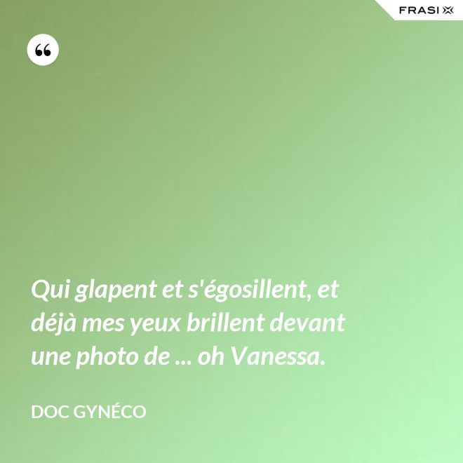 Qui glapent et s'égosillent, et déjà mes yeux brillent devant une photo de ... oh Vanessa. - Doc Gynéco