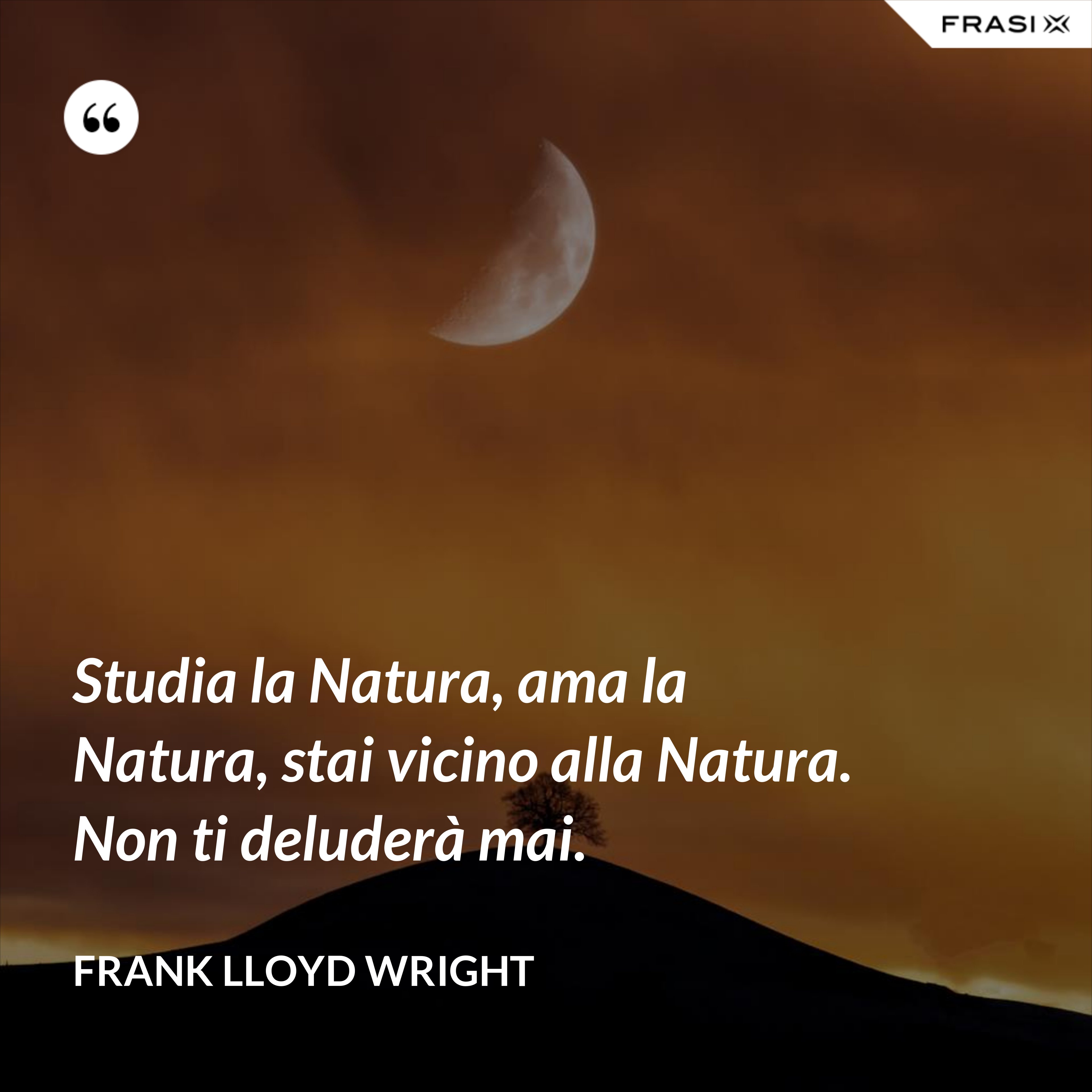 Studia la Natura, ama la Natura, stai vicino alla Natura. Non ti deluderà mai. - Frank Lloyd Wright