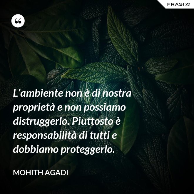 L’ambiente non è di nostra proprietà e non possiamo distruggerlo. Piuttosto è responsabilità di tutti e dobbiamo proteggerlo. - Mohith Agadi