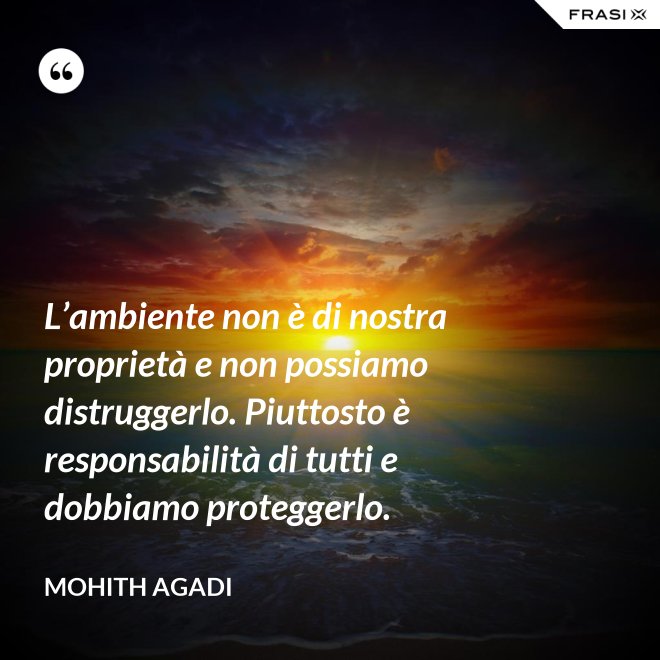 L’ambiente non è di nostra proprietà e non possiamo distruggerlo. Piuttosto è responsabilità di tutti e dobbiamo proteggerlo. - Mohith Agadi