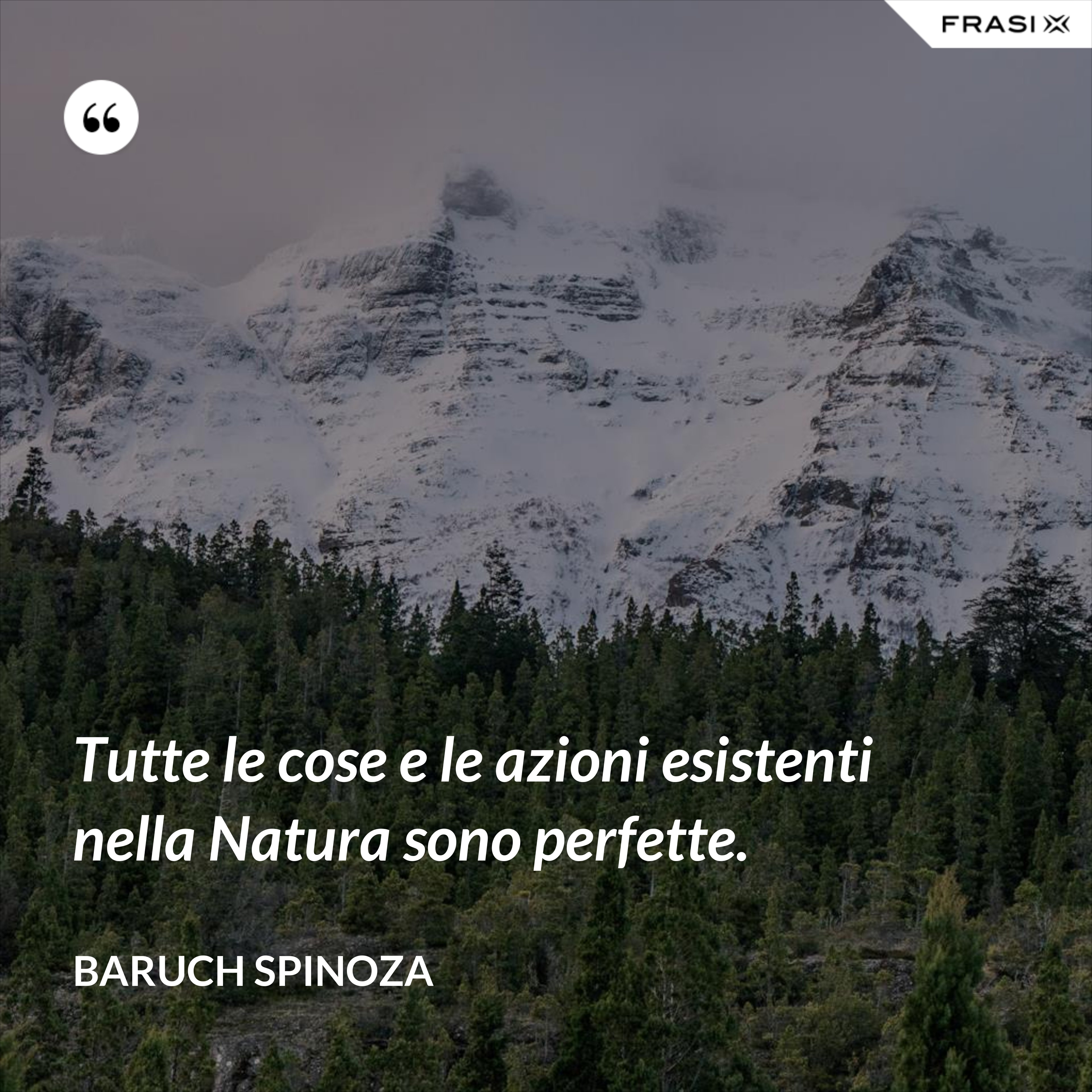 Tutte le cose e le azioni esistenti nella Natura sono perfette. - Baruch Spinoza