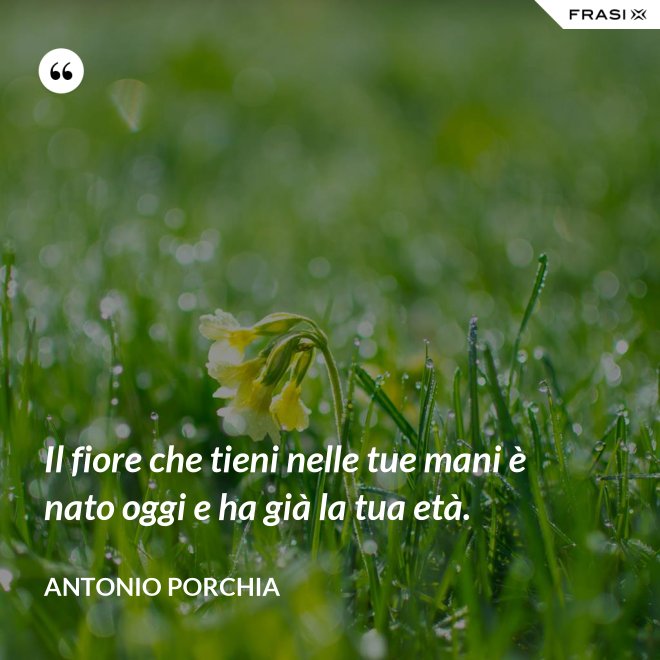 Il fiore che tieni nelle tue mani è nato oggi e ha già la tua età. - Antonio Porchia
