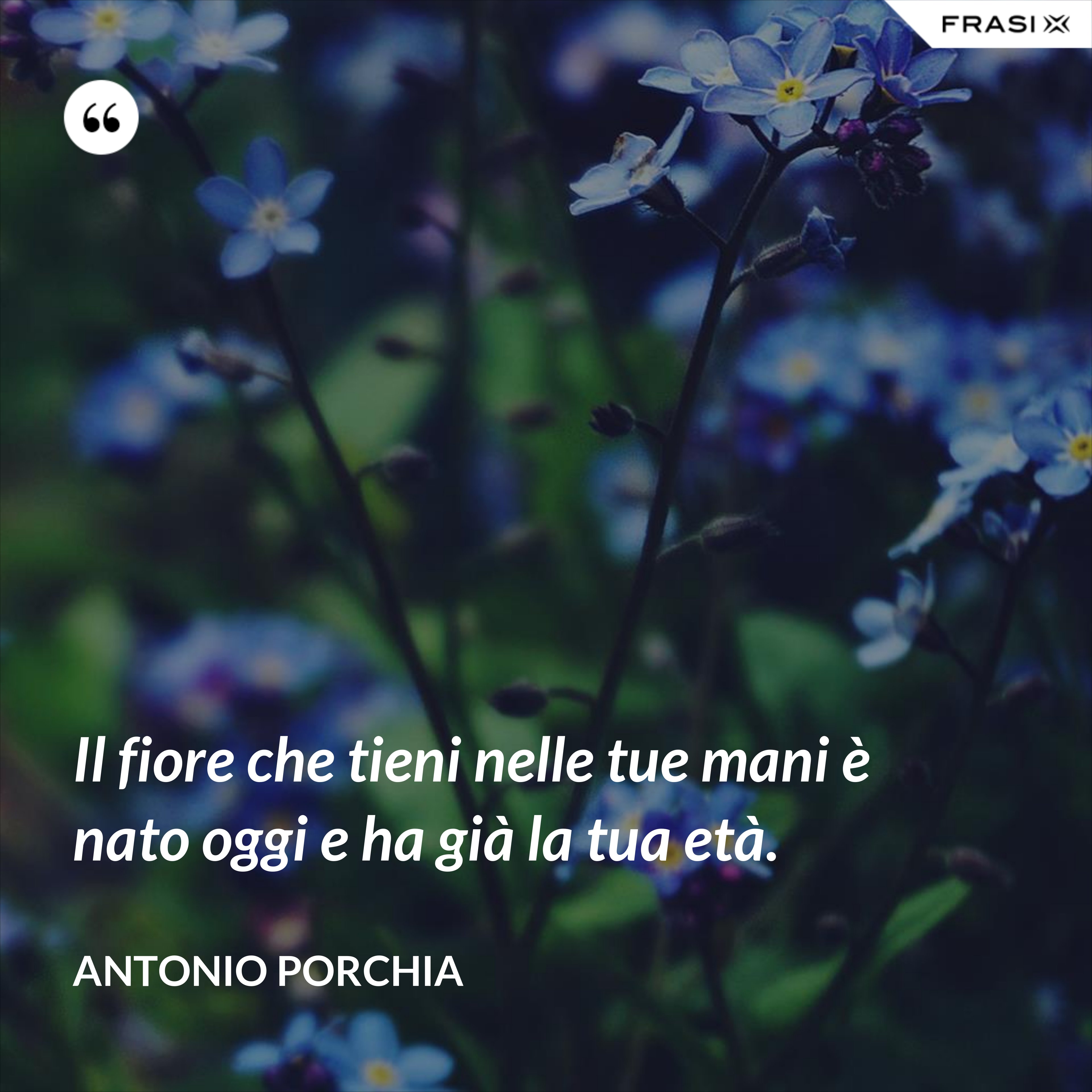 Il fiore che tieni nelle tue mani è nato oggi e ha già la tua età. - Antonio Porchia
