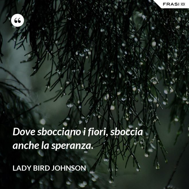 Dove sbocciano i fiori, sboccia anche la speranza. - Lady Bird Johnson