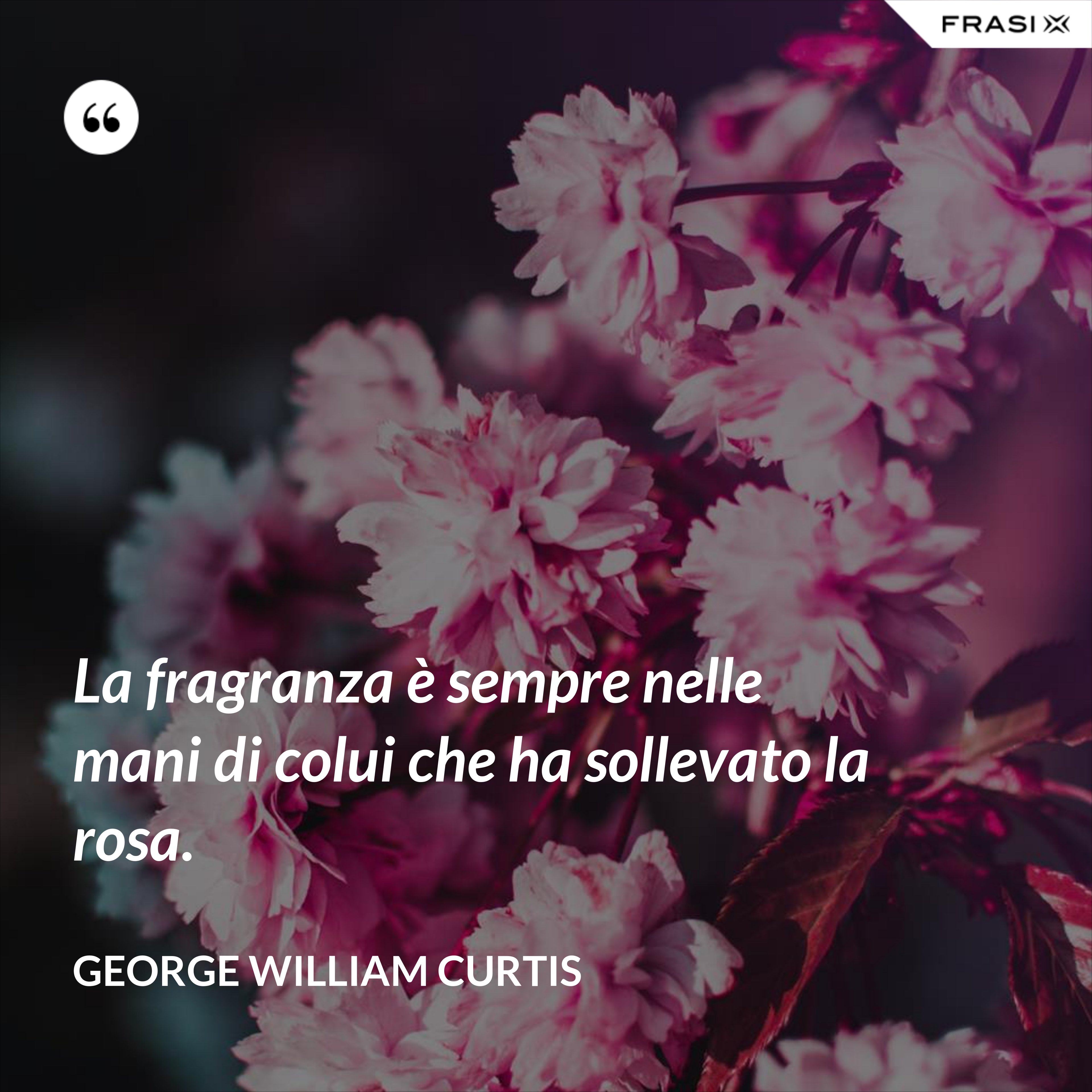 La fragranza è sempre nelle mani di colui che ha sollevato la rosa. - George William Curtis
