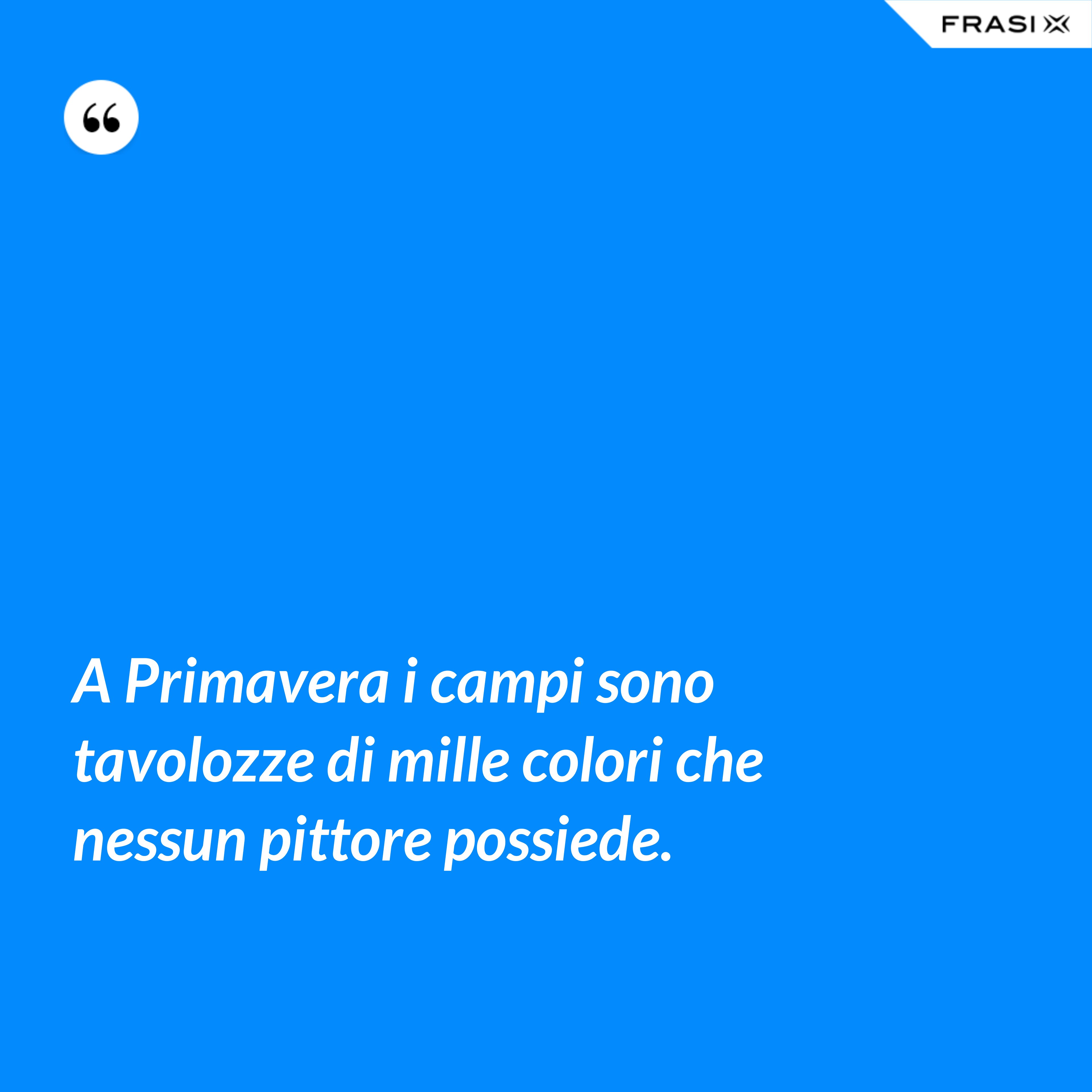 A Primavera i campi sono tavolozze di mille colori che nessun pittore possiede. - Anonimo