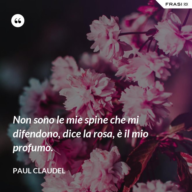 Non sono le mie spine che mi difendono, dice la rosa, è il mio profumo. - Paul Claudel