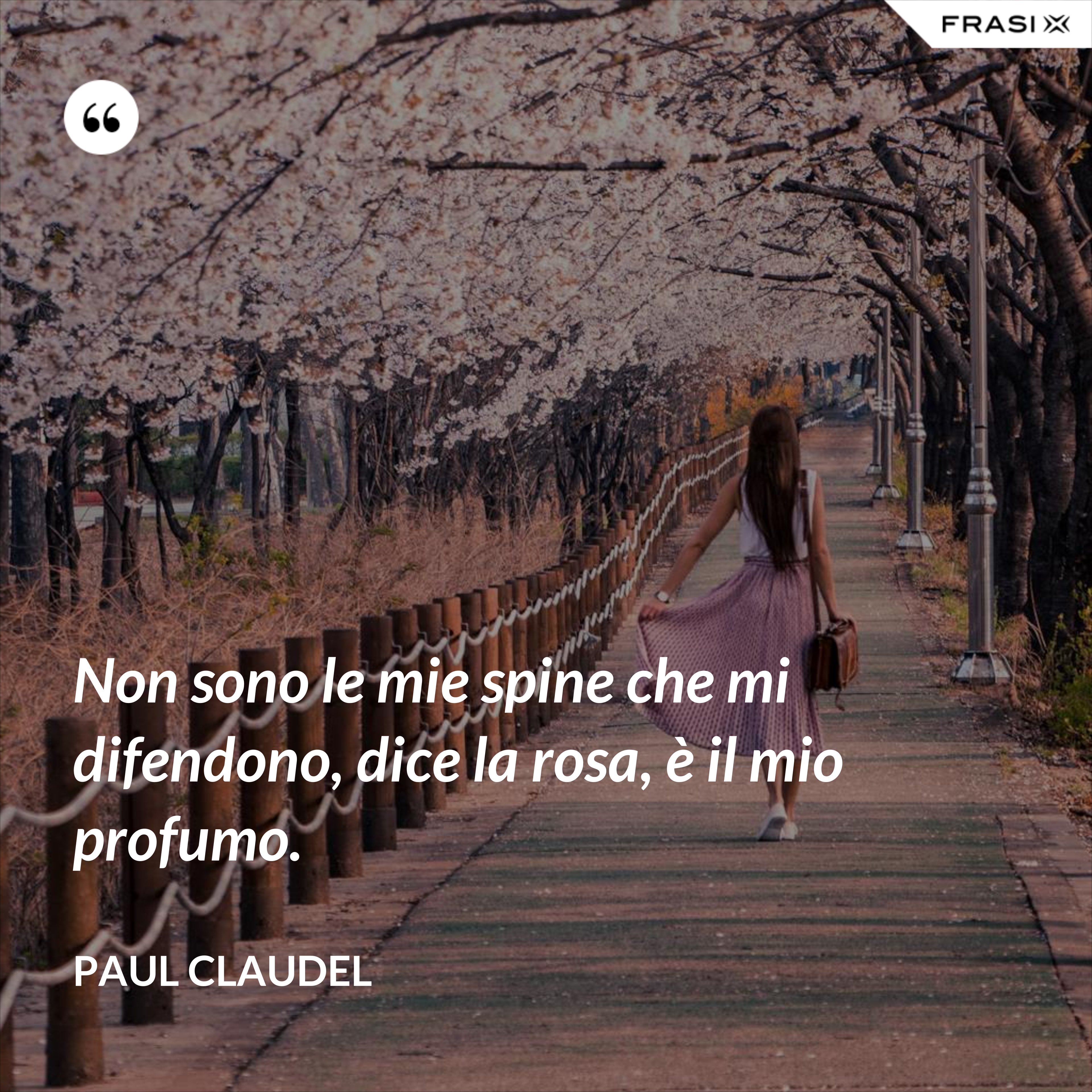 Non sono le mie spine che mi difendono, dice la rosa, è il mio profumo. - Paul Claudel