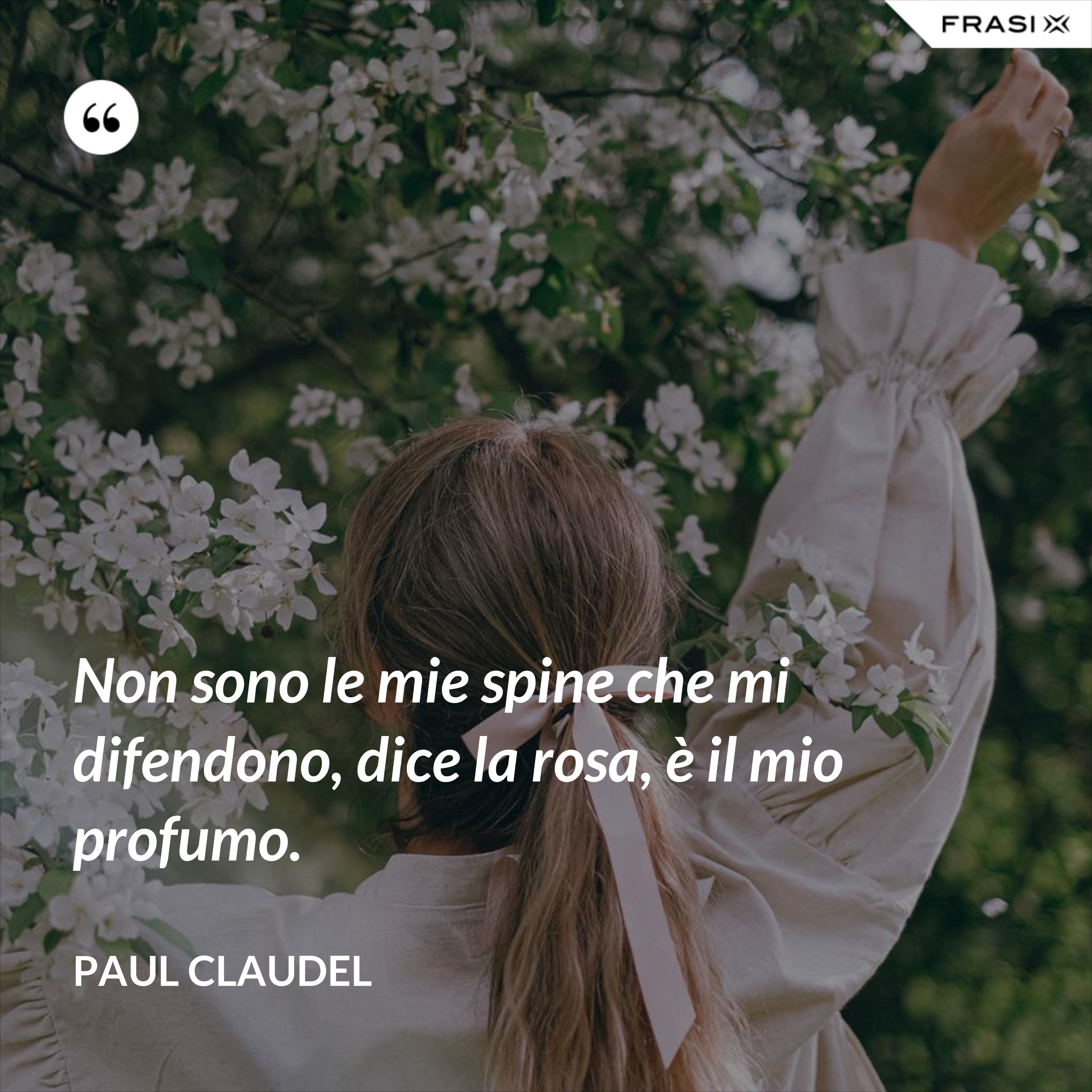 Non sono le mie spine che mi difendono, dice la rosa, è il mio profumo. - Paul Claudel