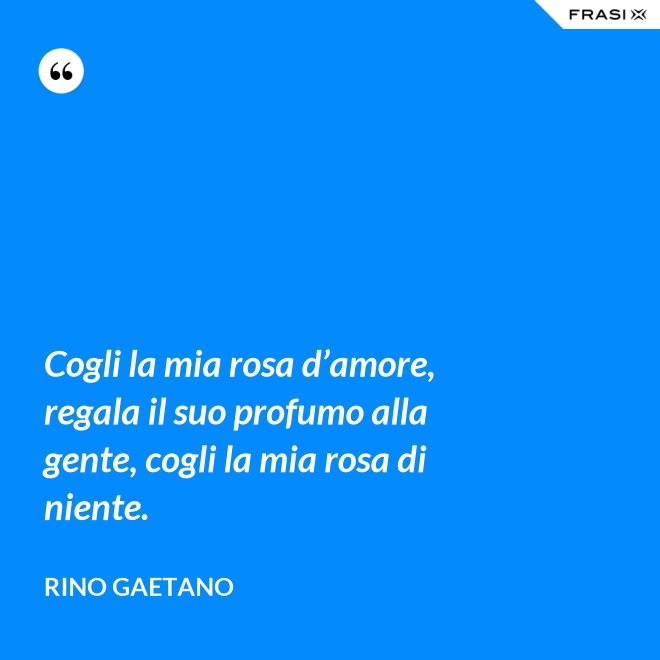 Cogli la mia rosa d’amore, regala il suo profumo alla gente, cogli la mia rosa di niente. - Rino Gaetano