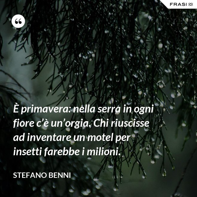 È primavera: nella serra in ogni fiore c’è un’orgia. Chi riuscisse ad inventare un motel per insetti farebbe i milioni. - Stefano Benni