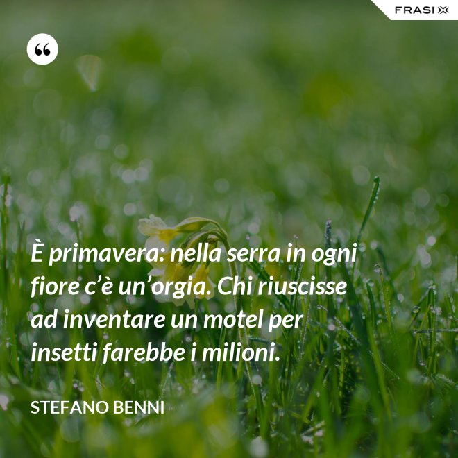 È primavera: nella serra in ogni fiore c’è un’orgia. Chi riuscisse ad inventare un motel per insetti farebbe i milioni. - Stefano Benni